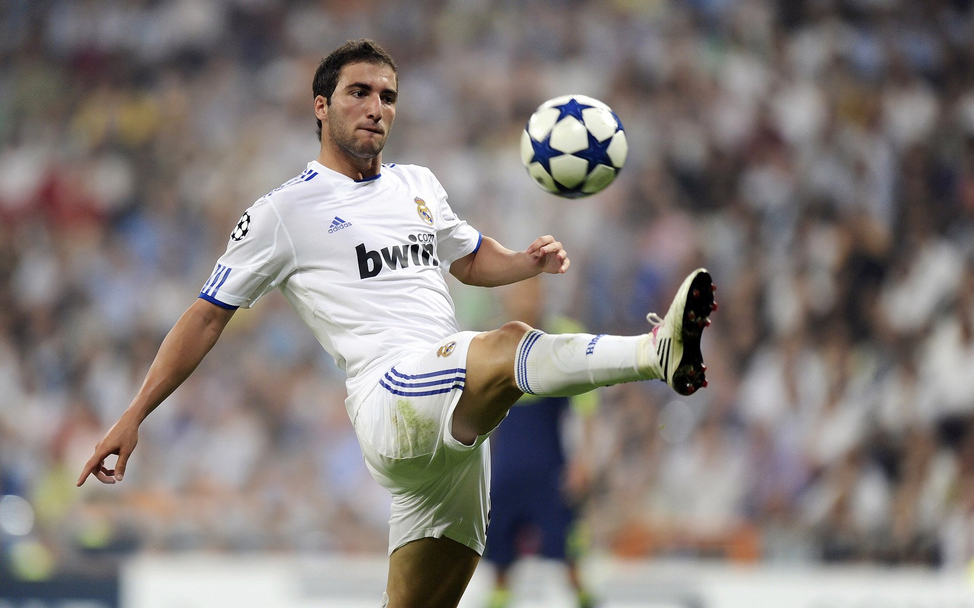 开云体育下载-勇士队再展雄风，欲完美结尾赛季，勇士队dub